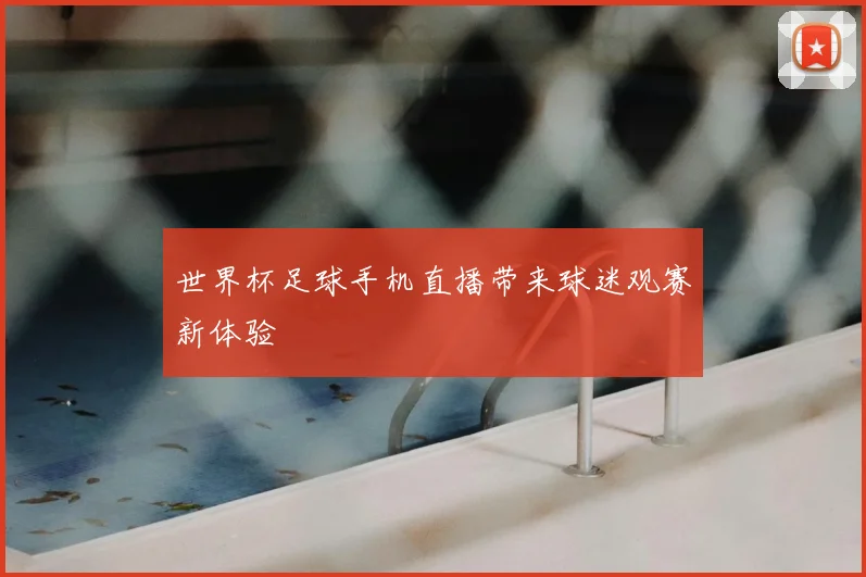 世界杯足球手机直播带来球迷观赛新体验